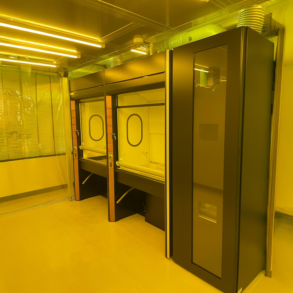 Bioderived Ionic Liquids